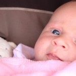 Sweet Savannah