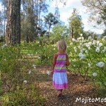 Emma's Cottage Hunter Valley