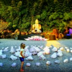 Kalrya meets Buddha man of peace