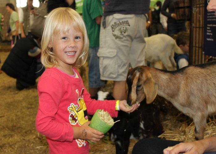 Sydney Royal Easter Show