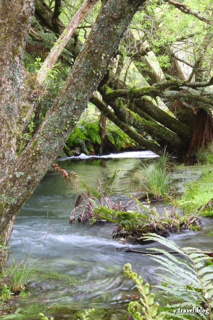 Buried Village