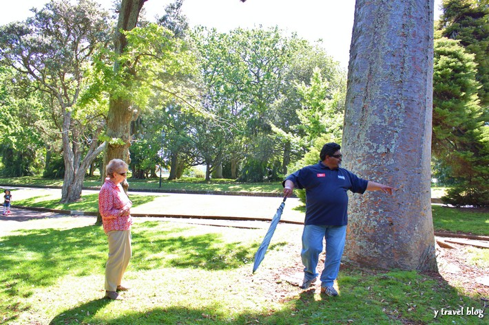 Tour of the Auckland Domain