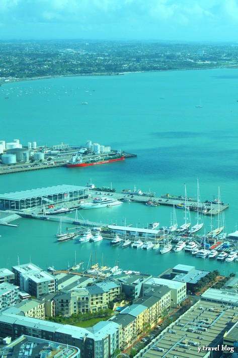 Views from the Sky Tower