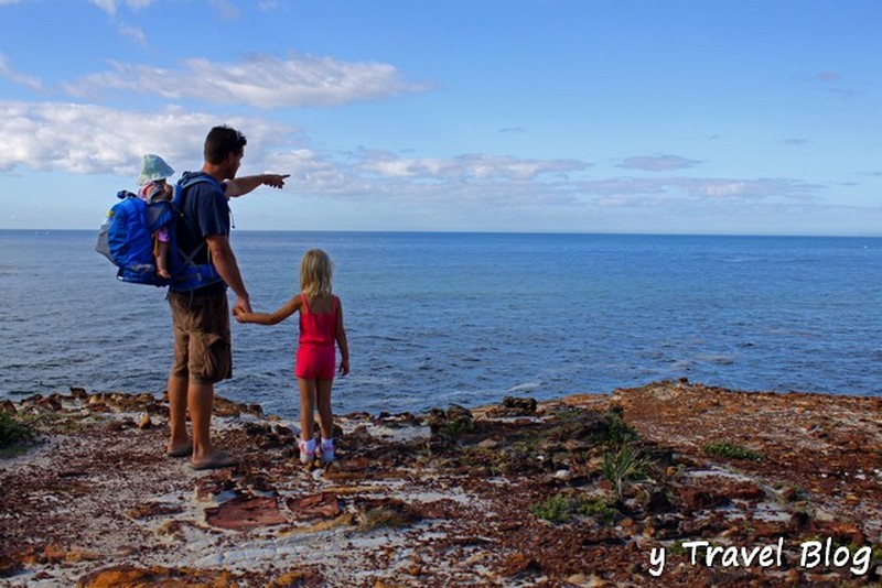 walking in the Bouddi National Park