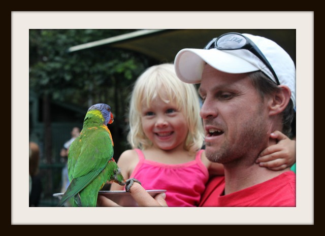 Feeding the lorikeets Currumbin Bird Sanctuary