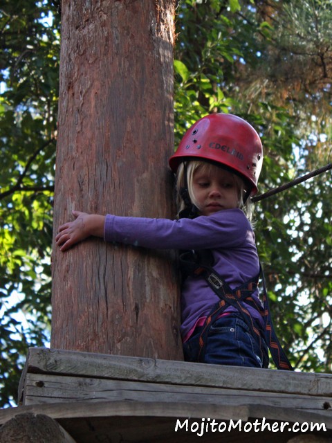 TreeTop Adventure Park