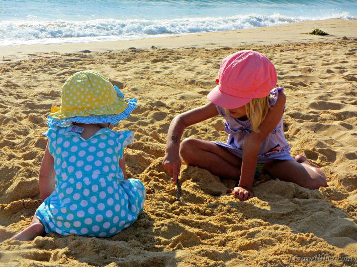 A day at the beach