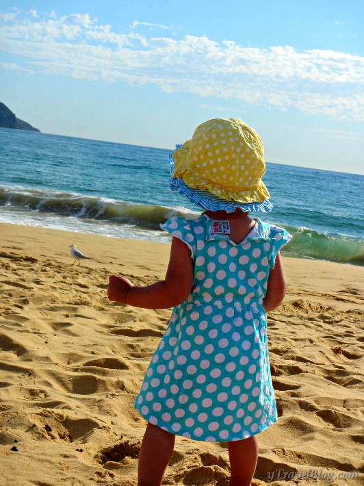 chasing seagulls at Terrigal Beach