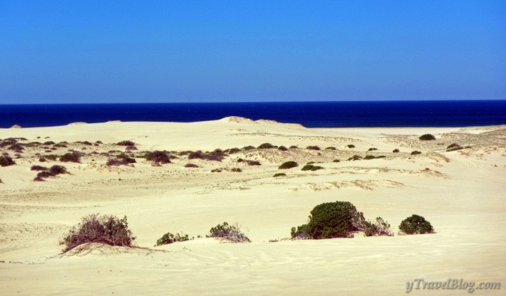 quad bike riding Stockton sand dunes