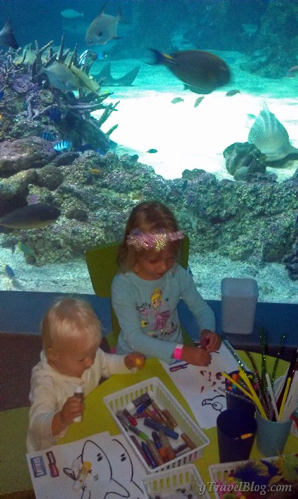 Sea life sydney aquarium