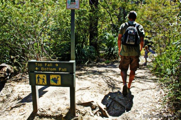 Somersby Falls Central Coast