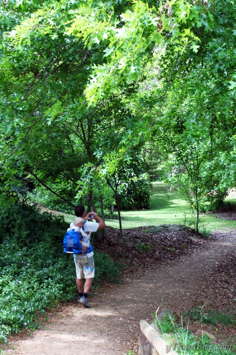 Bright Canyon walk