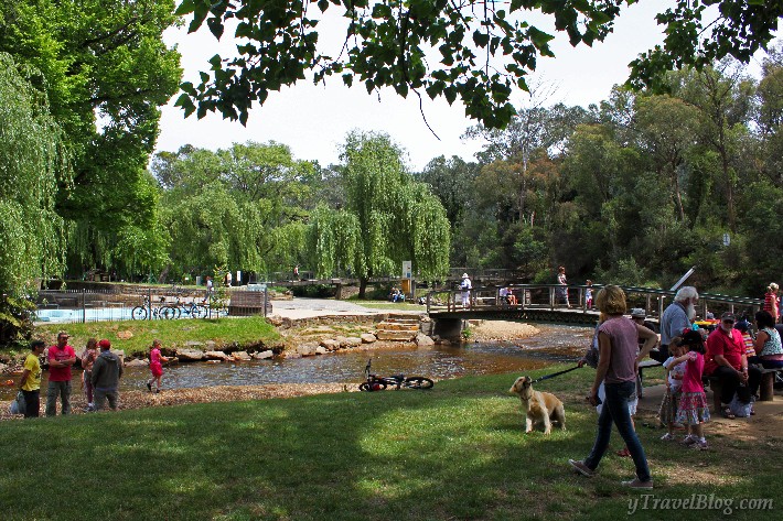 Ovens River Bright