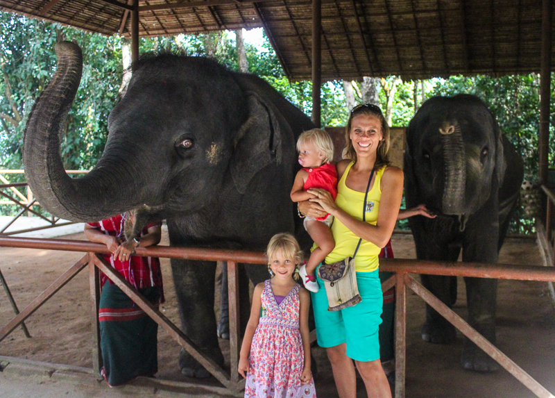 Elephant trek Thailand
