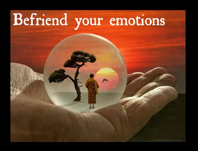 Befriend your emotions