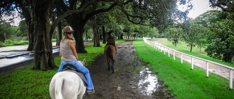 horse riding in Centennial Park Sydney