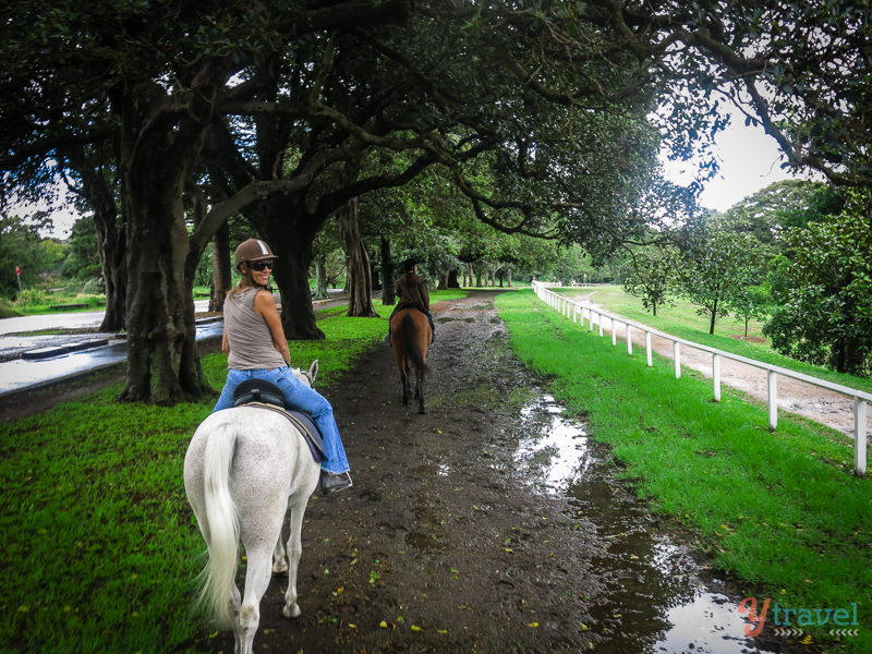 horse riding in Centennial Park Sydney