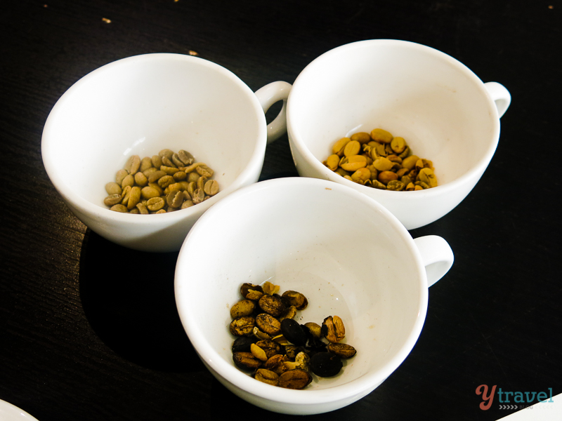 coffee beans (1)