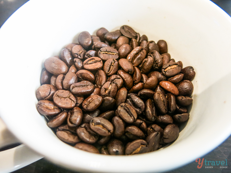 coffee beans (2)