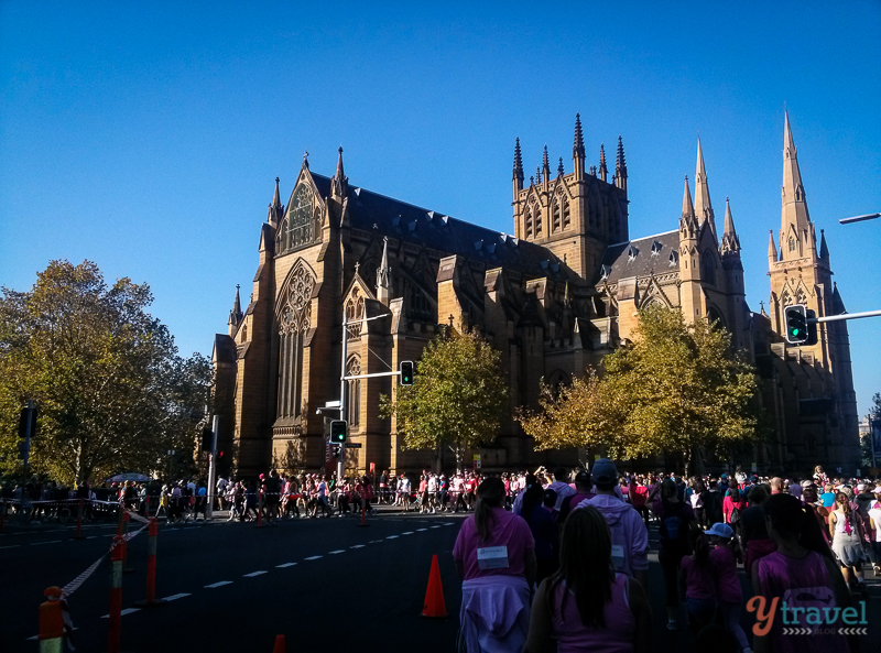 walk for a breast cancer cure the domain  (7)