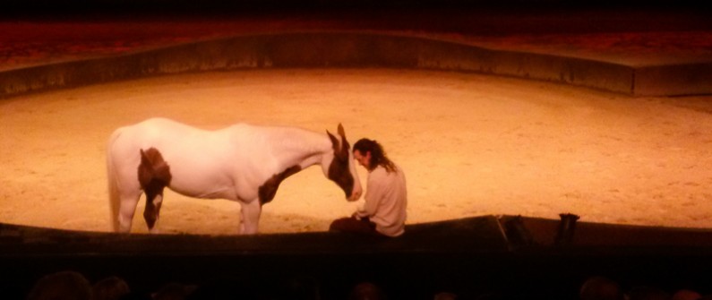 Cavalia Sydney