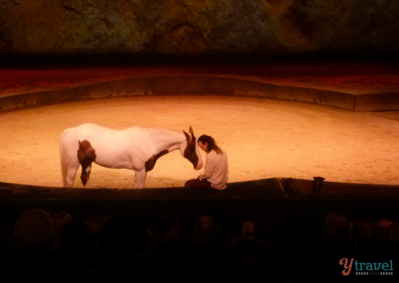 Cavalia Sydney