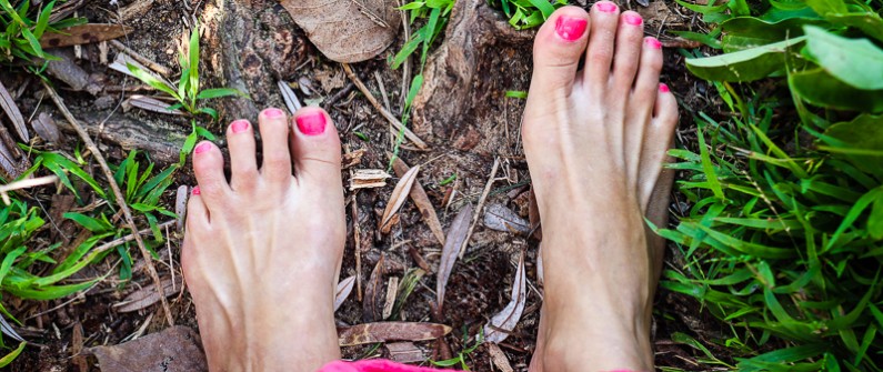 Earthing in the forest