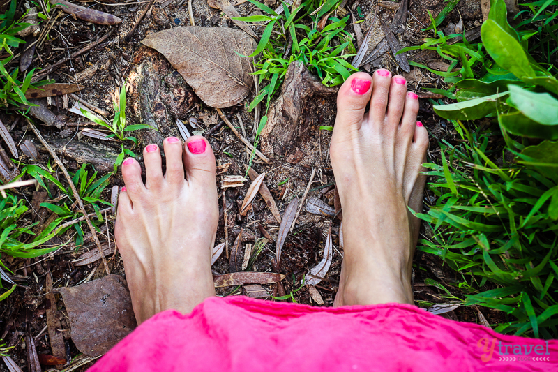 Earthing in the forest
