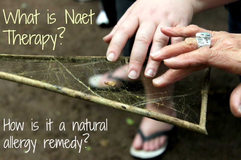 What is naet therapy