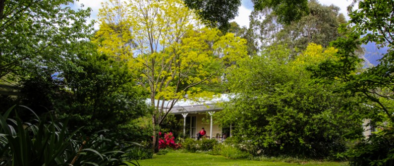 Crystal Creek Meadows Kangaroo Valley (14)