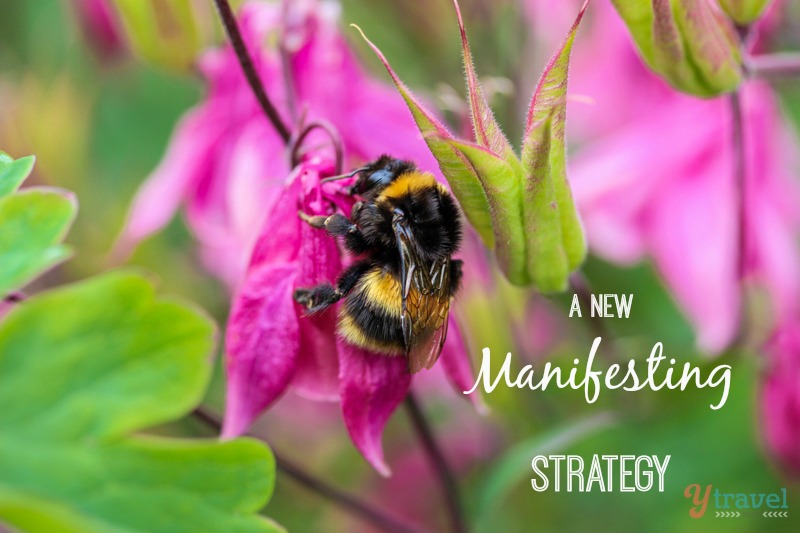 Manifesting strategy