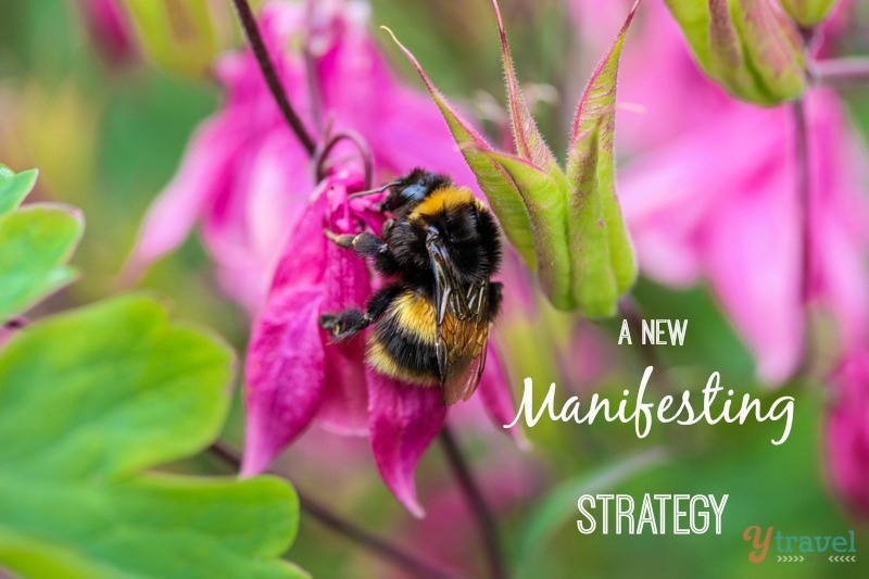 Manifesting strategy